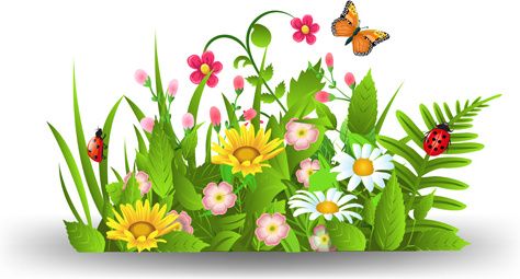 Garden Image